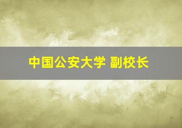 中国公安大学 副校长